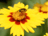 Captcha image 8164